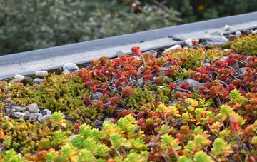 the cost of Fortingall green roof installation
