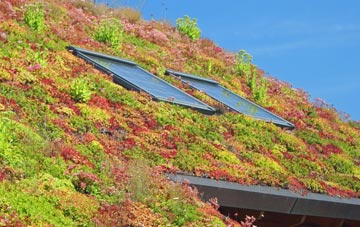 Fortingall living roof systems