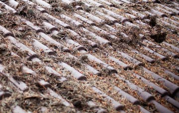 Fortingall roof cleaning companies